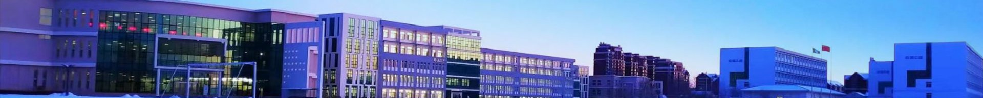 盘锦市大洼区向海街道办事处胜利社区双